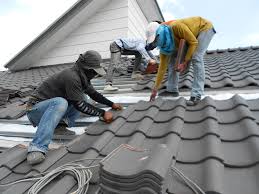 Best Storm Damage Roof Repair  in Fredonia, NY